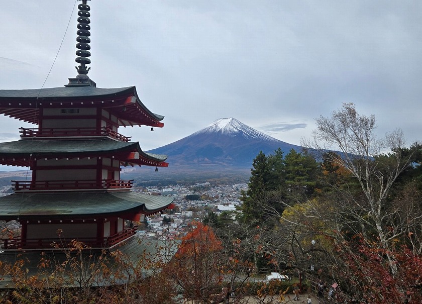 【世界が注目】新倉山浅間公園の紅葉と富士山！外国人観光客で大賑わいの絶景スポット