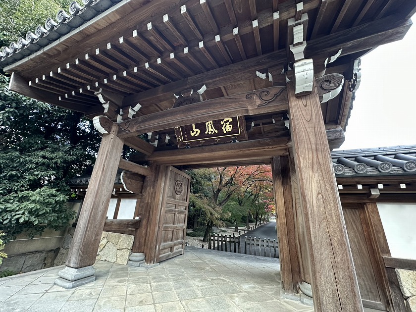 高円寺の立派な山門(内側から)