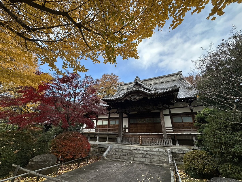紅葉に囲まれた高円寺の本堂