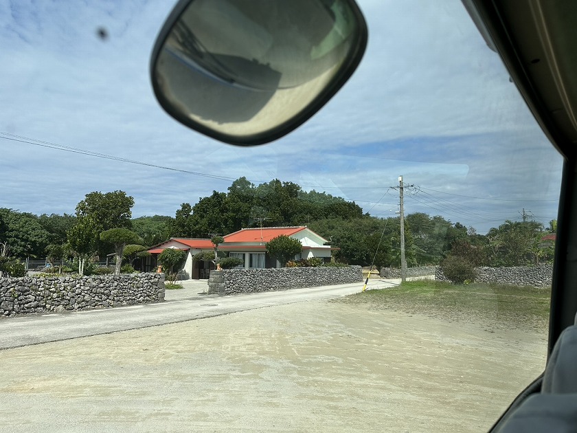 龍が如くアサガオ？